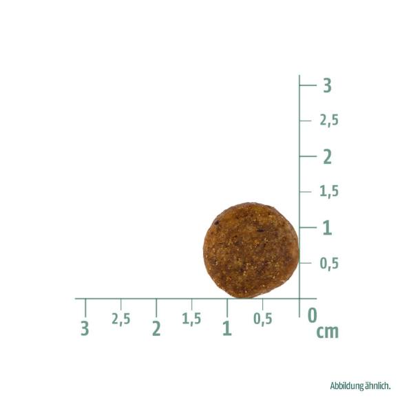 Christopherus Vegetarian trocken - Tapioka mit Kürbis (1 kg)