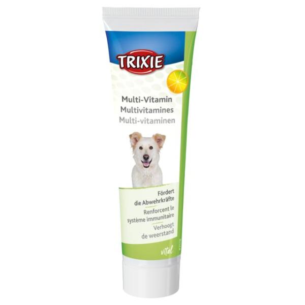 Multi-Vitamin-Paste für Hunde (100 g)