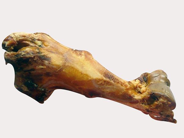 Mammut Knochen vom Rind, ca. 1500g