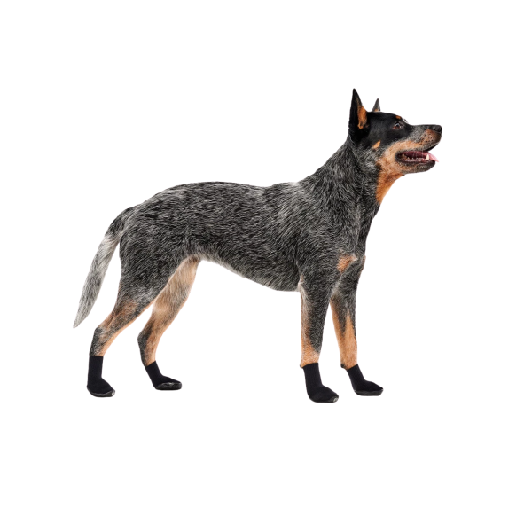 Gooez Paw Protection Shoes ‘Light’ Size S Black (4 Stück)