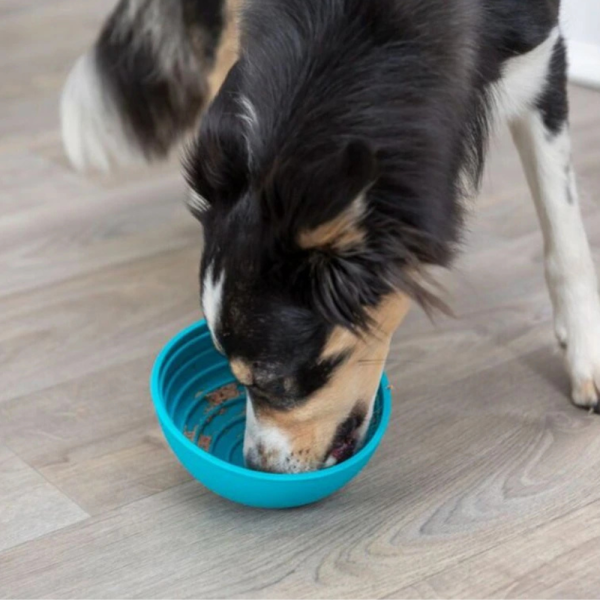 Lick 'n' Snack Bowl, Silikon Ø 16 cm