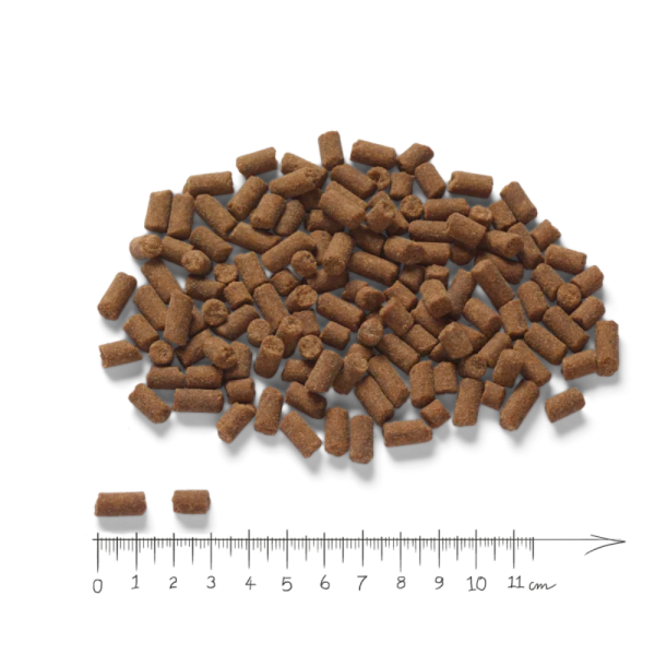 Markus-Mühle - Katze Beutenah kaltgepresst -  mit Truthahn (400 g)