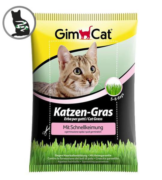 GimCat Katzengras Schnellkeimbeutel (100 g)