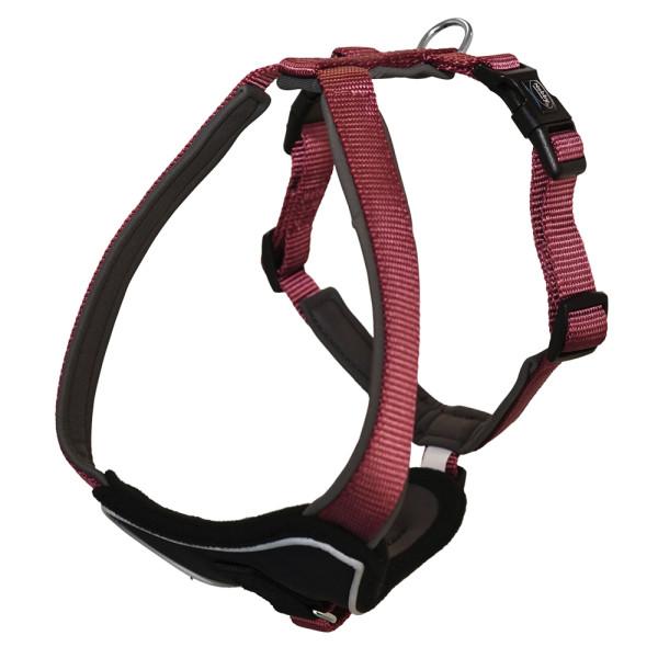Komfort Geschirr "Classic Preno" bordeaux L:75-90; B:35mm