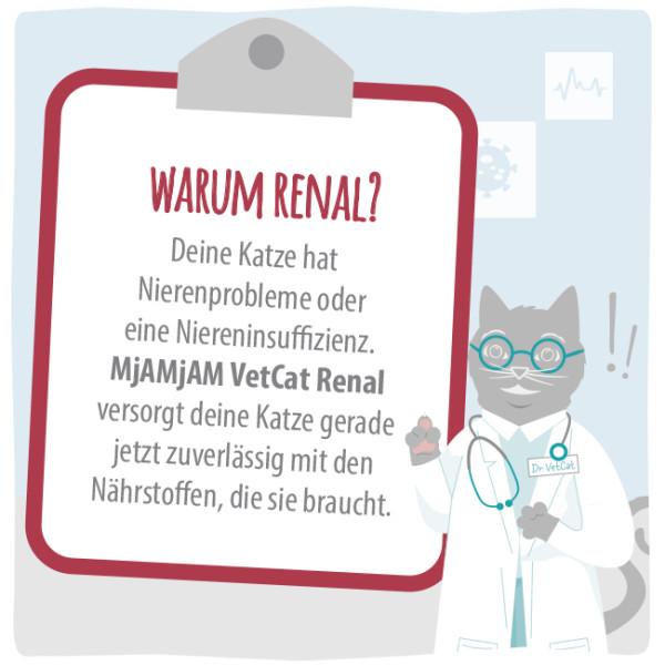 MjaMjam VetCat Dose - Niere (Renal) mit Huhn (200 g)