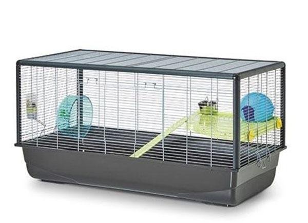Hamsterheim "Hamster Plaza" 100 x 50 x 50 cm