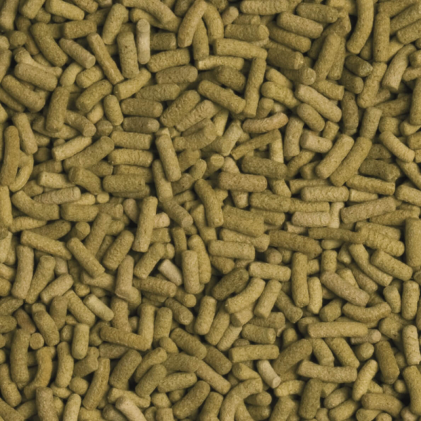 Biorept L - Sticks für Landschildkröten (250 ml)