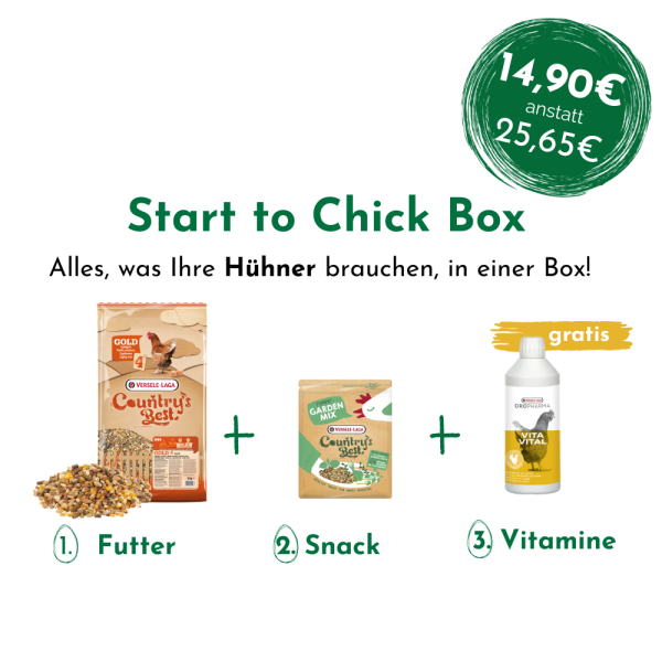 Start to Chick Box - Hühner