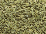 Fennel seeds (1 kg)